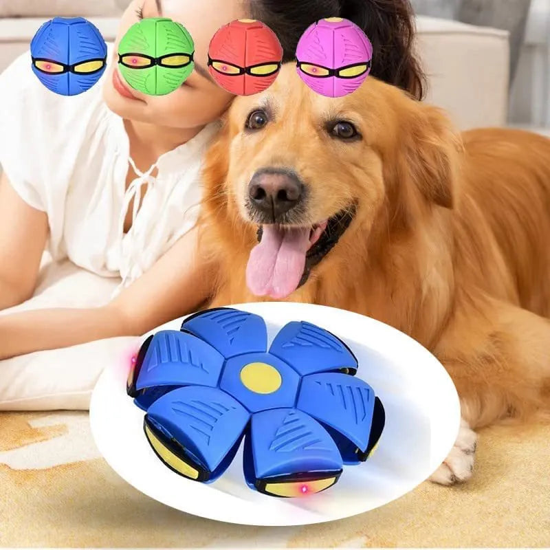 Outdoor Flying UFO Interactive Toy For Dogs