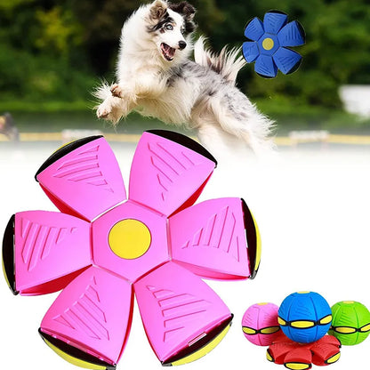 Outdoor Flying UFO Interactive Toy For Dogs